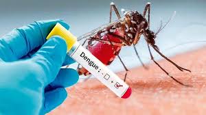 Dengue in Karnataka